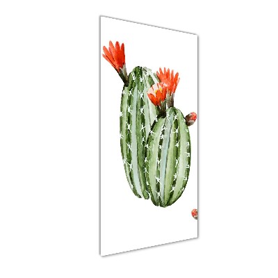 Verticale foto op glas Cactussen