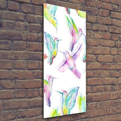 Foto obraz szklany pionowy Kolorowe kolibry