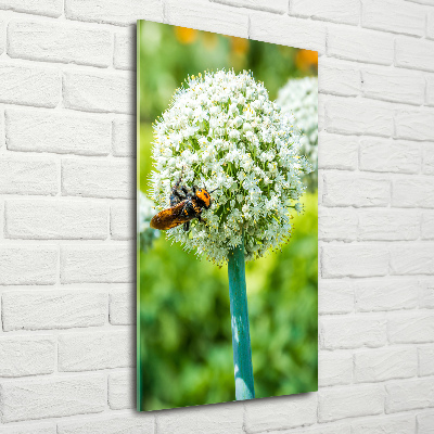 Verticale glasfoto Knoflookbloemen
