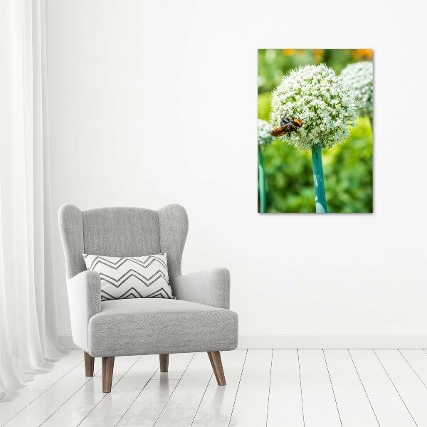 Verticale glasfoto Knoflookbloemen