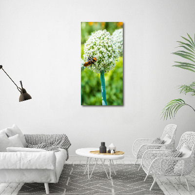 Verticale glasfoto Knoflookbloemen
