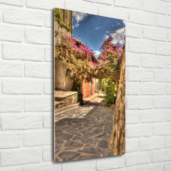 Foto obraz na szkle pionowy Francuskie uliczki