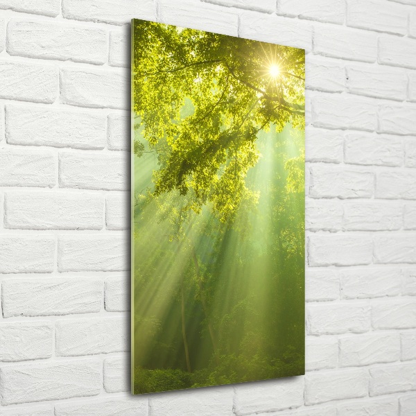 Verticaal glasschilderij De zon in het bos