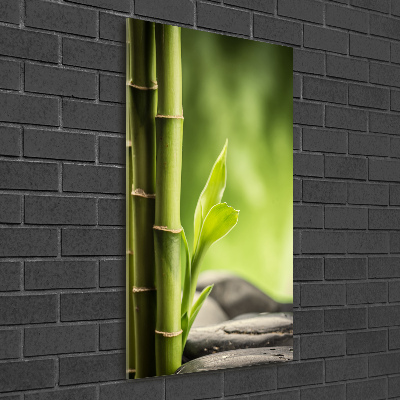 Verticale foto op glas Bamboe