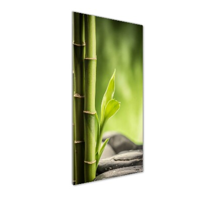 Nowoczesny szklany obraz ze zdjęcia pionowy Bambus
