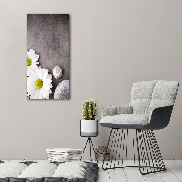 Foto-obraz zdjęcie na szkle pionowy Gerbera