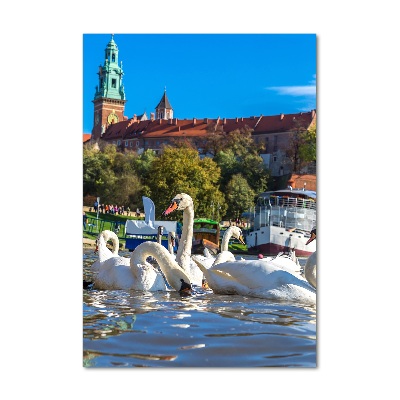 Verticale glasfoto Krakau, Polen