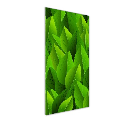 Verticale glasfoto Groene bladeren