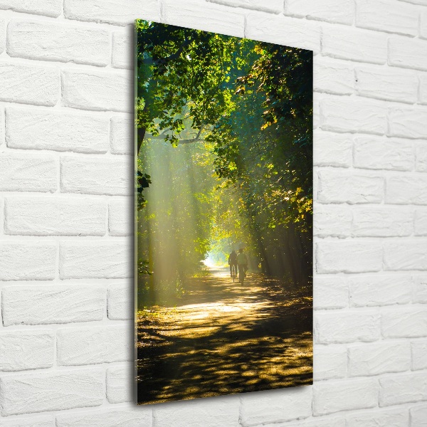 Verticale glasfoto Pad in het bos