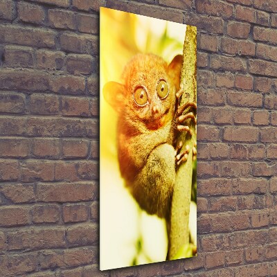 Verticale glasfoto Spooktarsier