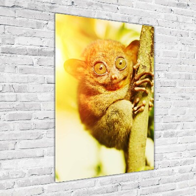 Verticale glasfoto Spooktarsier