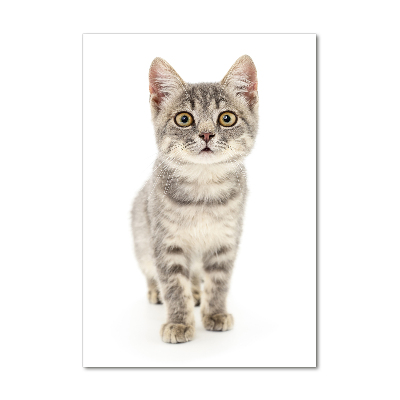 Verticaal glasschilderij Grijze kat