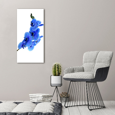 Verticale glasfoto Blauwe orchidee