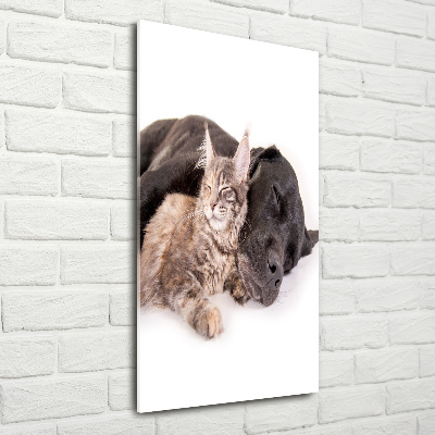 Verticale glasfoto Hond en kat