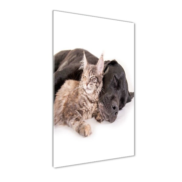 Verticale glasfoto Hond en kat