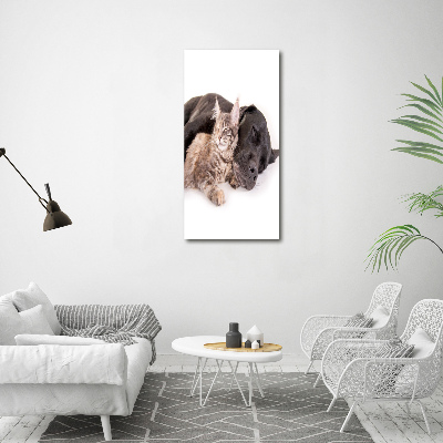 Verticale glasfoto Hond en kat