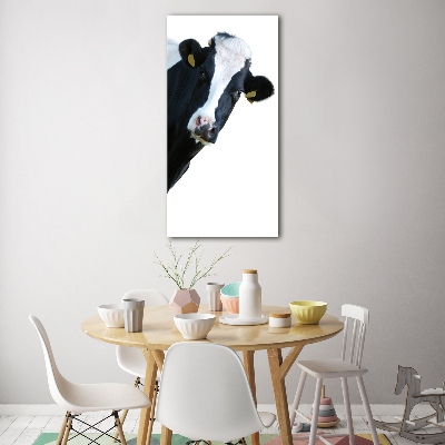 Verticale foto op glas Gevlekte koe