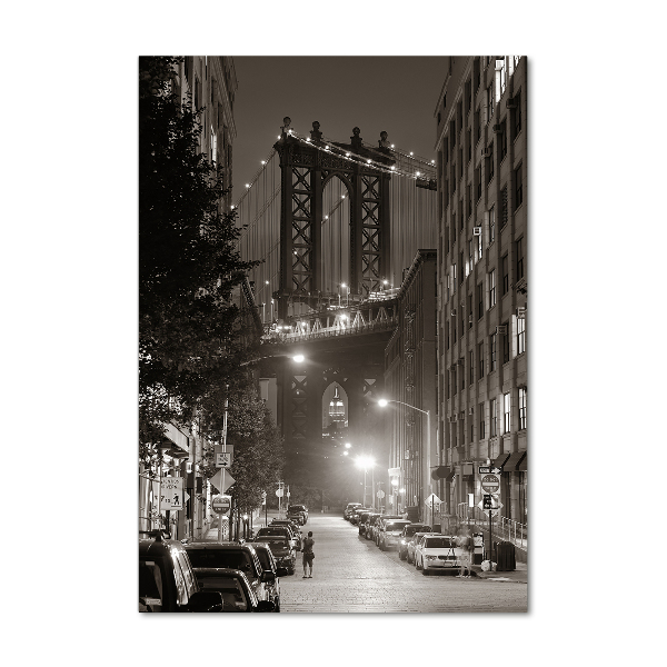 Verticale foto op glas Manhattan, New York