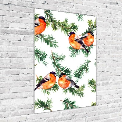 Verticale glasfoto Roodborstje en naaldbomen