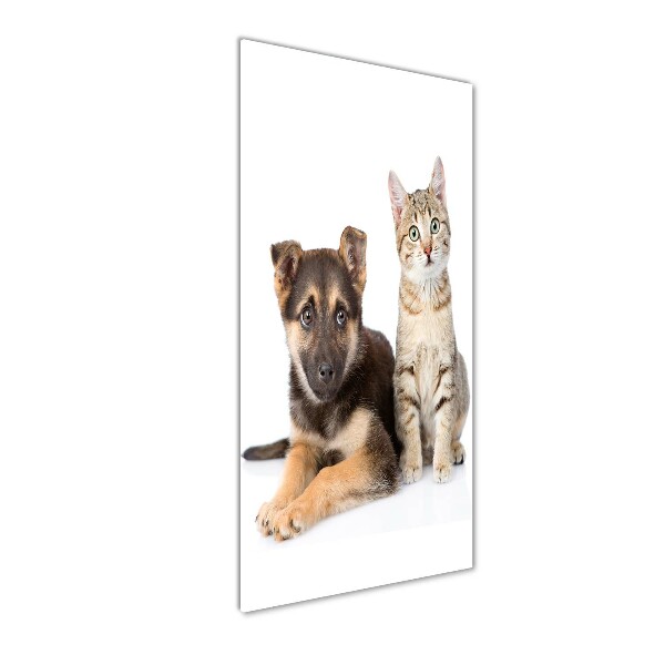 Verticale foto op glas Hond en kat