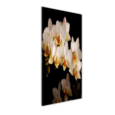 Verticale glasfoto Orchidee