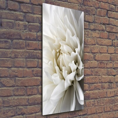 Verticale foto op glas Witte dahlia
