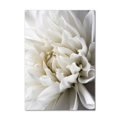 Verticale foto op glas Witte dahlia