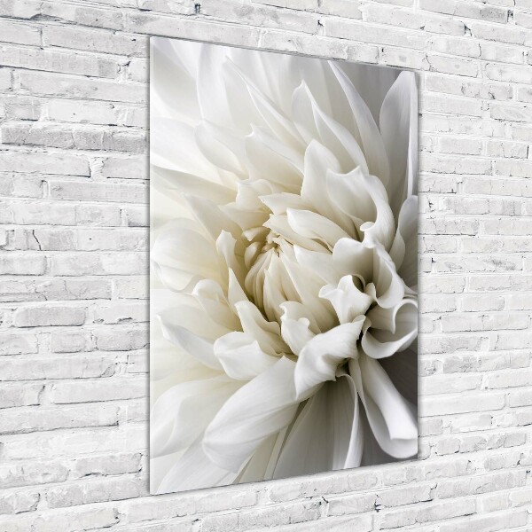 Verticale foto op glas Witte dahlia