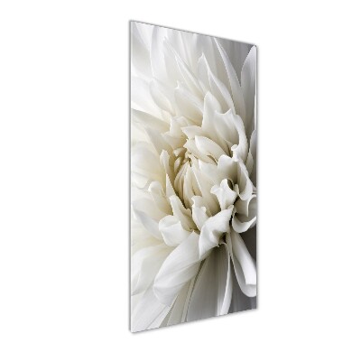 Verticale foto op glas Witte dahlia