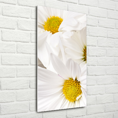 Foto obraz szkło hartowane pionowy Stokrotki