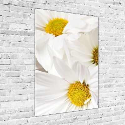 Foto obraz szkło hartowane pionowy Stokrotki