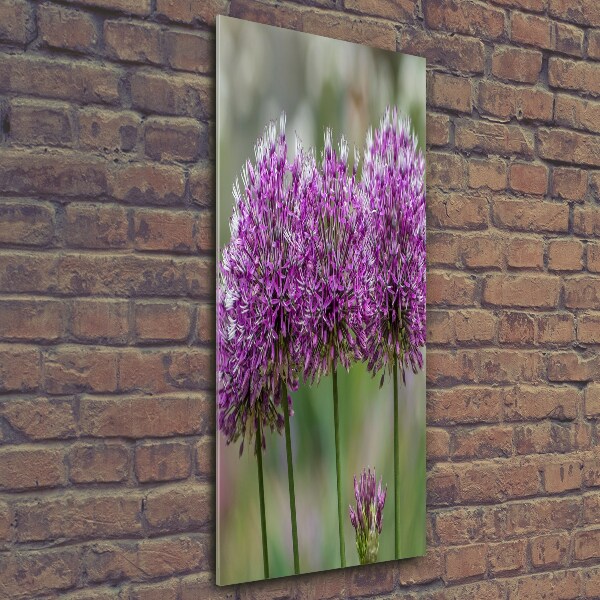 Verticale foto op glas Knoflookbloemen