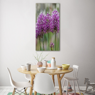 Verticale foto op glas Knoflookbloemen