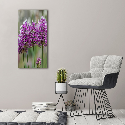 Verticale foto op glas Knoflookbloemen