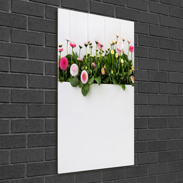 Verticale glasfoto Roze madeliefjes