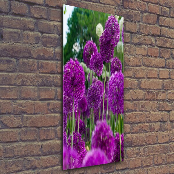 Verticale glasfoto Knoflookbloemen