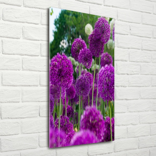 Verticale glasfoto Knoflookbloemen