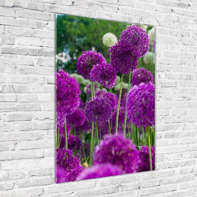 Verticale glasfoto Knoflookbloemen
