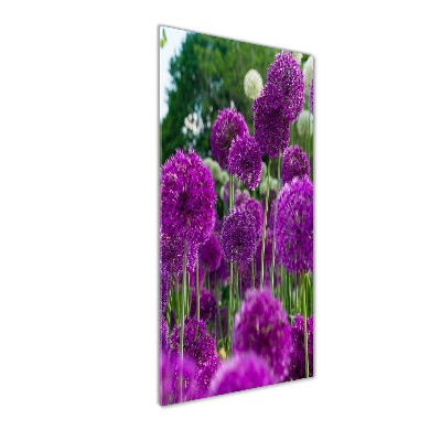 Verticale glasfoto Knoflookbloemen