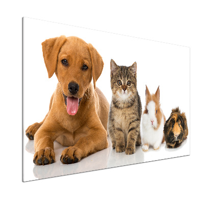 Panel dekor szkło Pies i kot