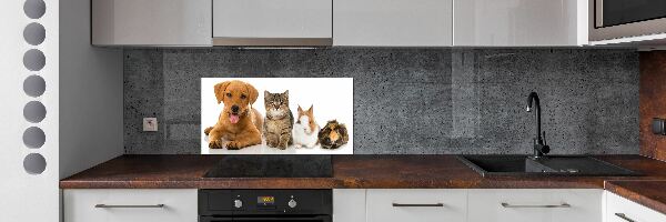 Spatplaat keuken Hond en kat