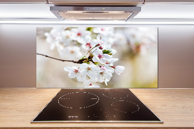 Achterwand keuken Kersenbloesems
