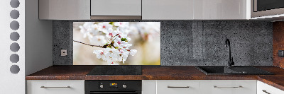 Panel dekor szkło Kwiaty wiśni