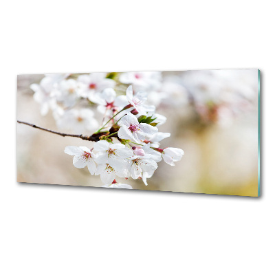 Achterwand keuken Kersenbloesems