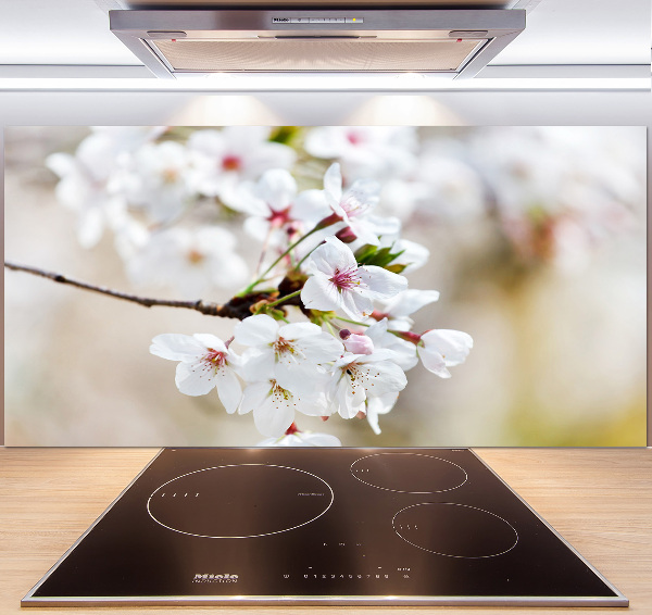 Achterwand keuken Kersenbloesems