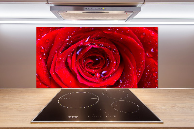 Panel dekor szkło Kwiat róży