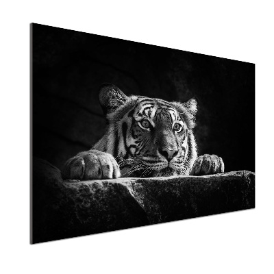 Glazen achterwand keuken Tijger