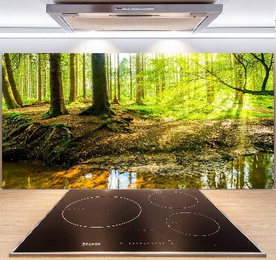 Spatscherm keuken Zonnestralen in het bos