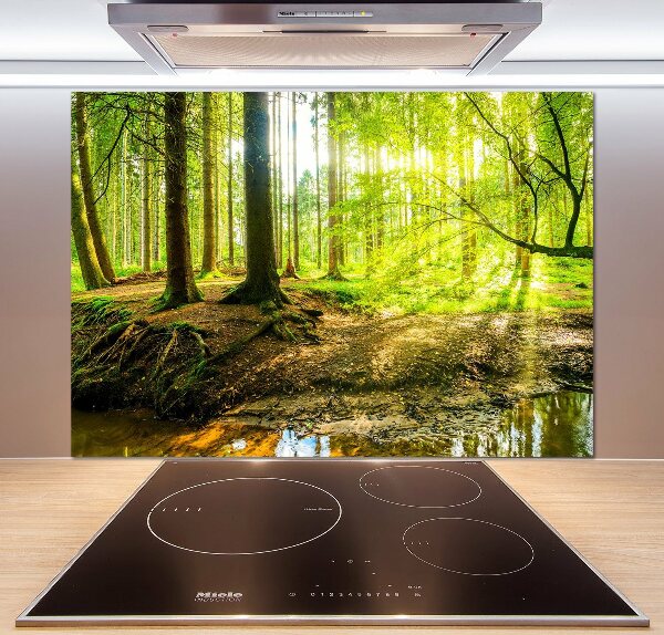 Spatscherm keuken Zonnestralen in het bos