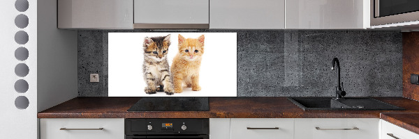 Achterwand keuken Bruine en rosse kat